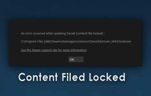 How to Fix Paladins Content File Locked