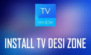 Install TV On Desi Zone Kodi