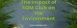 The Impact of SQM Club on the Environment