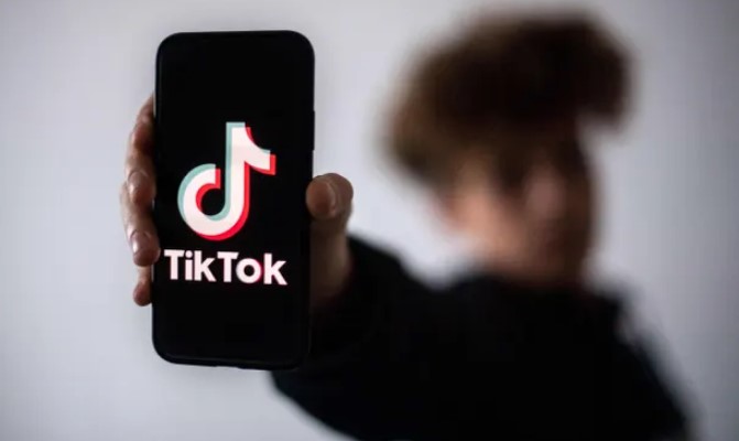 Features of TikTok Friends Discovermaliktechcrunch
