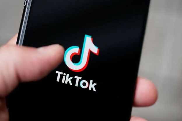 What is Tiktok Friends Discovermaliktechcrunch